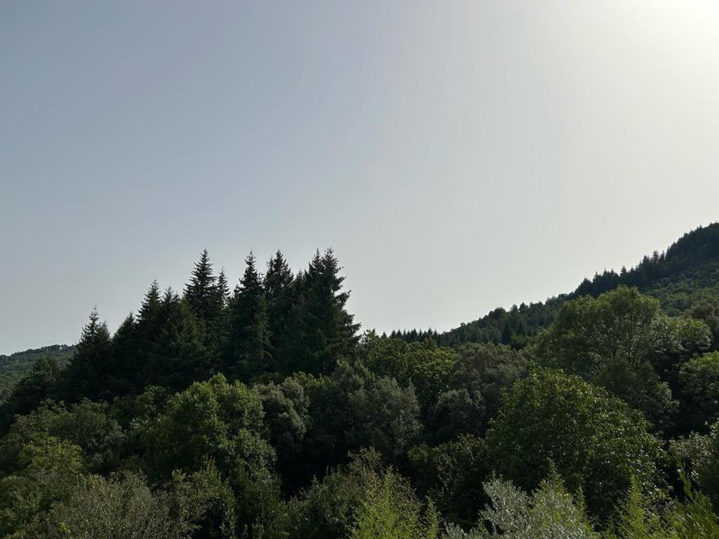 Mas Le Canton Saint-Jean-du-Gard Bagian luar foto